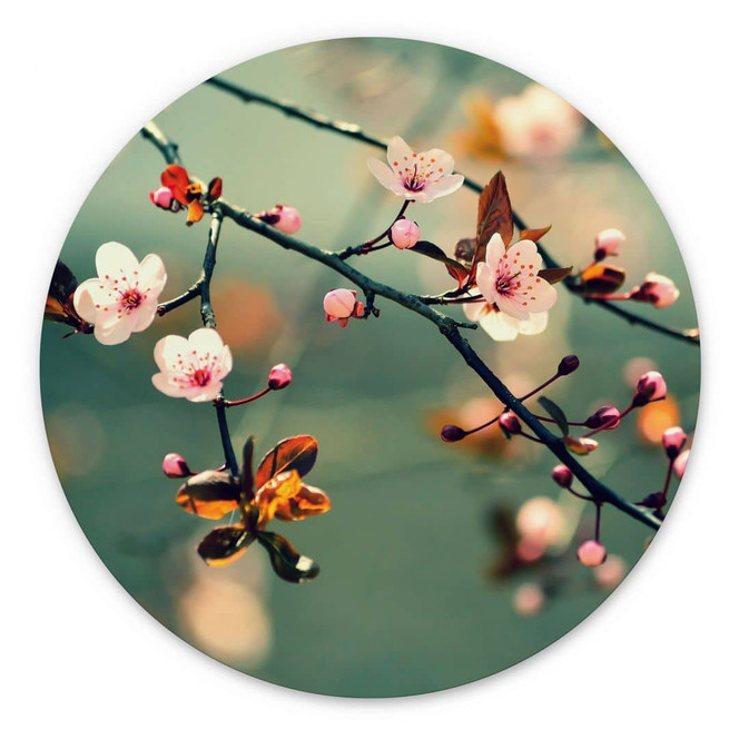 Wandbild Frühlingserwachen - Alu-Dibond Rund