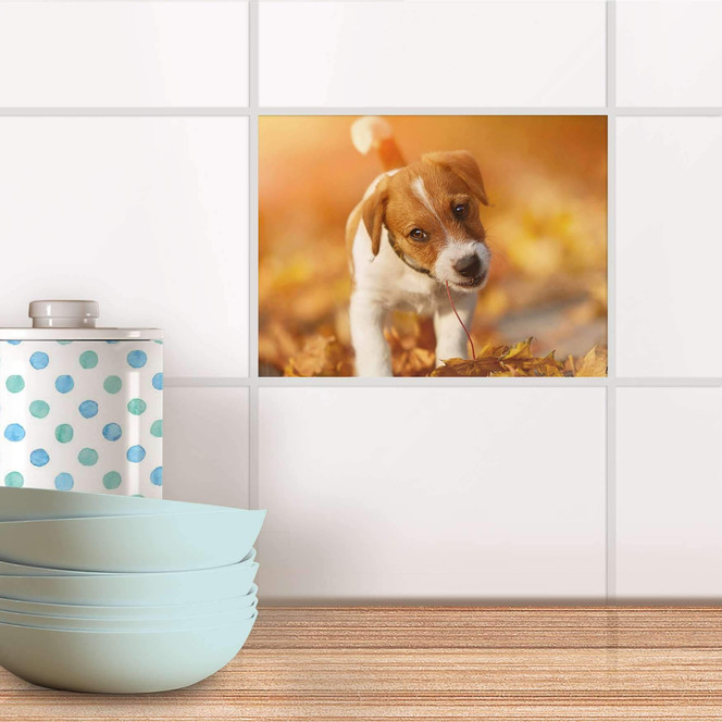 Fliesenfolie - Jack the Puppy