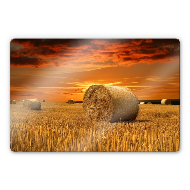 Glasbild Strohballen