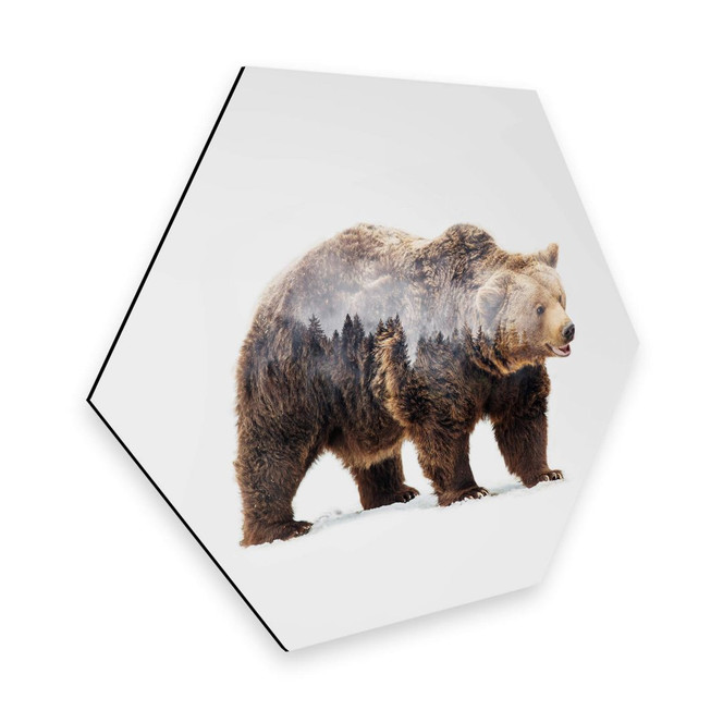 Hexagon - Alu-Dibond - Beáta - Der Bär