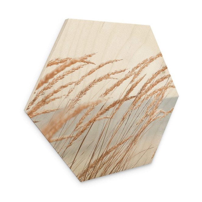 Hexagon Holzbild Dünengras