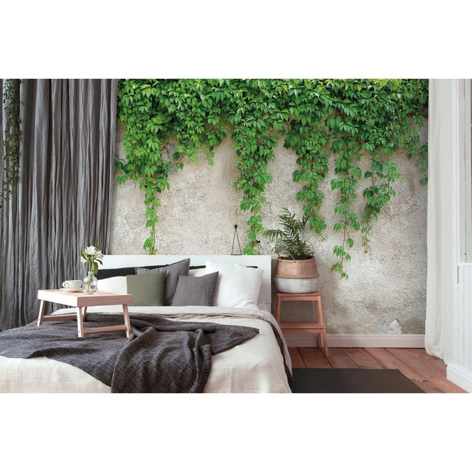 Livingwalls Fototapete Designwalls Climbing Leaves Natur - Bild 1