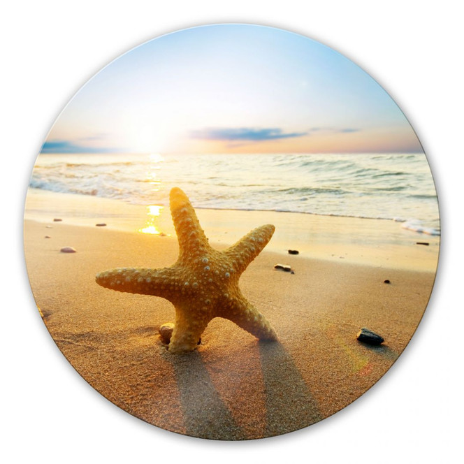 Glasbild Seestern im Sand - rund