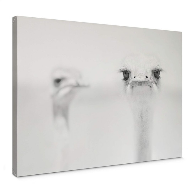 Leinwandbild Tonti - Augenblick