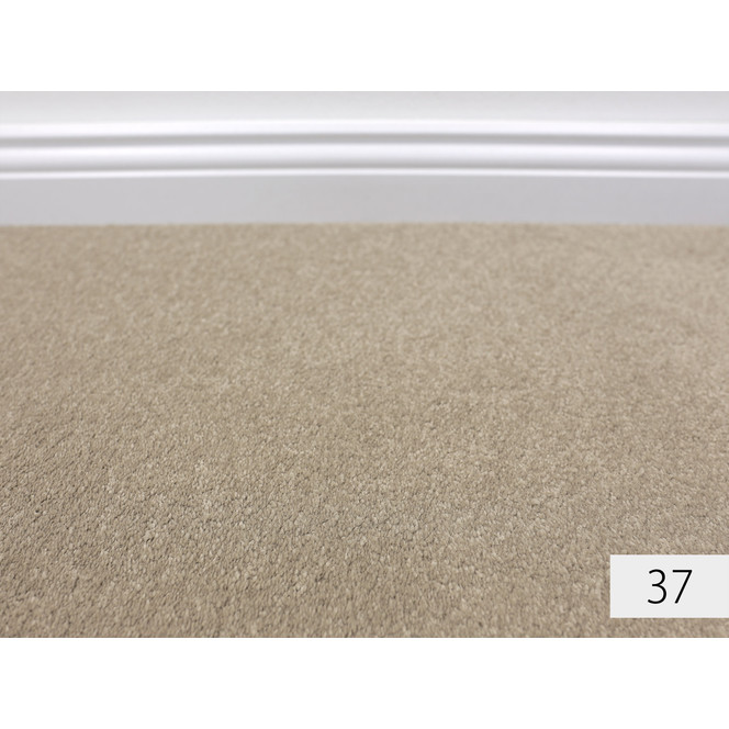 Anemone Velours Teppichboden Meterware in 37
