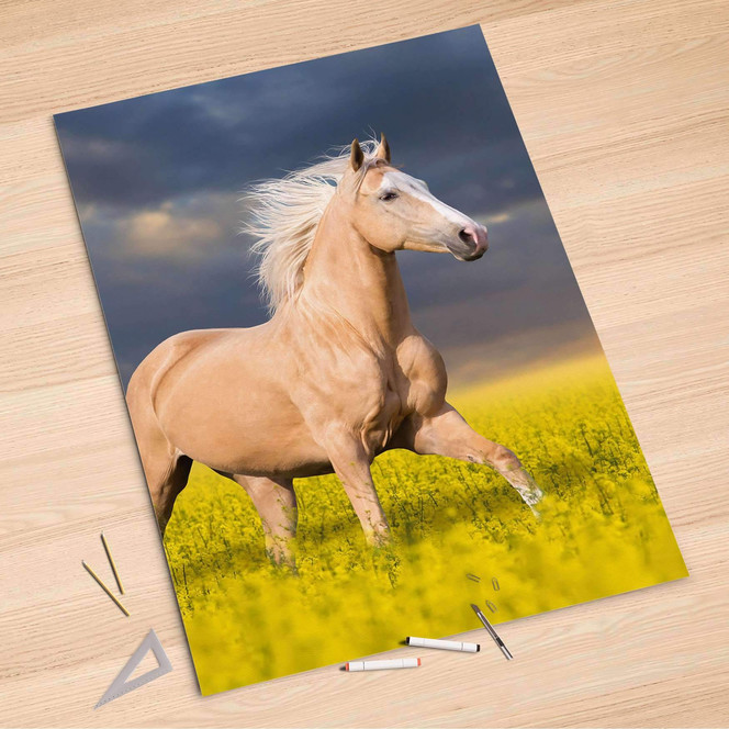 Folienbogen (100x150cm) - Wildpferd- Bild 1