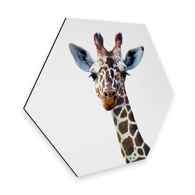 Hexagon - Alu-Dibond Graves - Giraffe