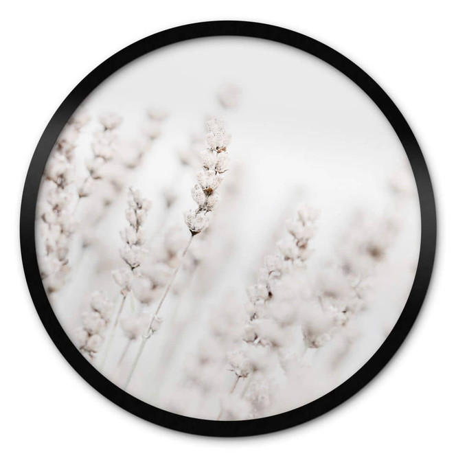 Poster 1X Studio - Feine Gräser - Rund