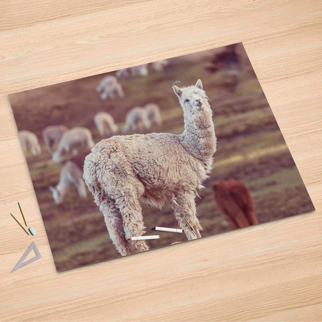 Folienbogen (150x100cm) - Pako- Bild 1