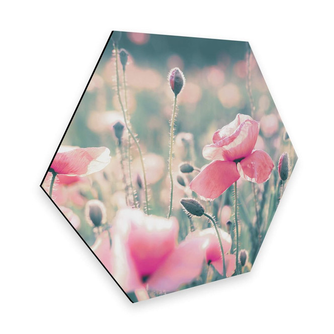 Hexagon - Alu-Dibond Delgado - Mohnblumenmomente