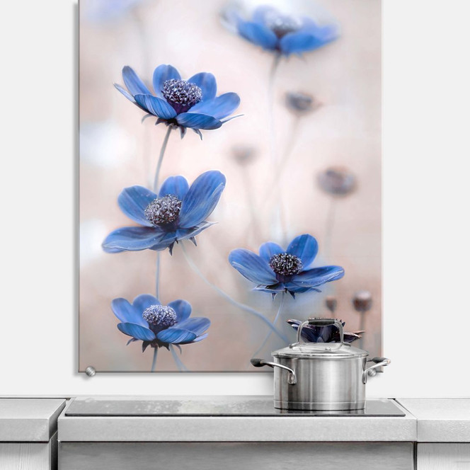 Spritzschutz Disher - Blue Cosmos