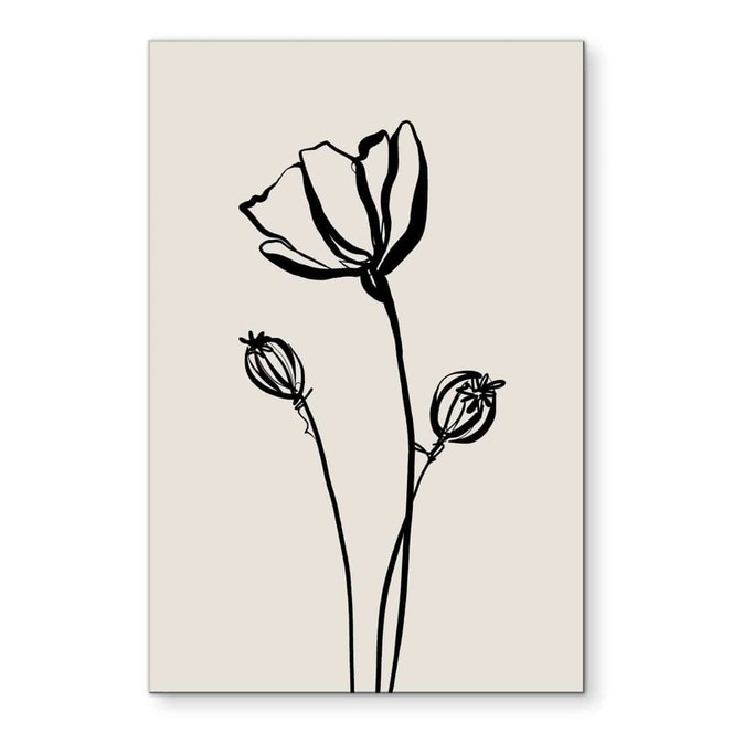 Wandbild Line Art Mohnblume - Cats & Dotz - Alu-Dibond