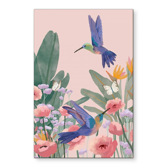 Wandbild Zwei Kolibris auf der bunten Blumenwiese - Goed Blauw - Alu-Dibond