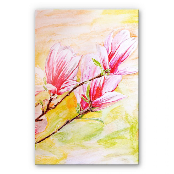 Acrylglasbild Toetzke - Magnolienzweig - Bild 1