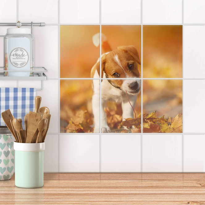 Fliesenaufkleber hoch - Jack the Puppy - 6er Set