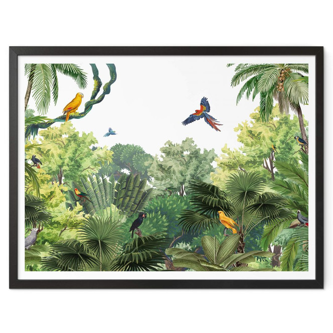 Poster Kikki Belle - Tropische Vögel