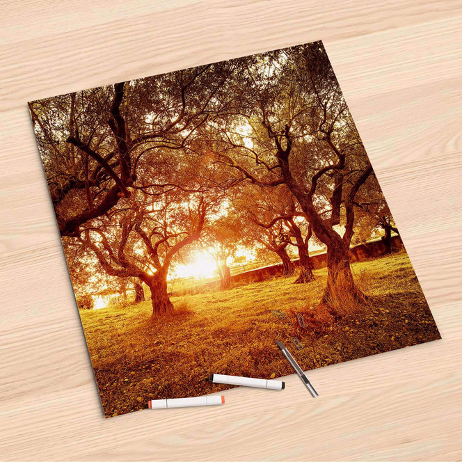 Folienbogen (60x60cm) - Tree Sunlight- Bild 1