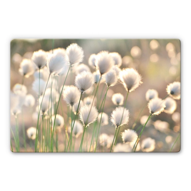 Glasbild Delgado - Wiesenzauber