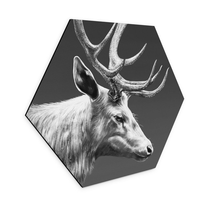 Hexagon Wandbild Hirsch mit Geweih schwarz-weiss - Roberg - Alu-Dibond