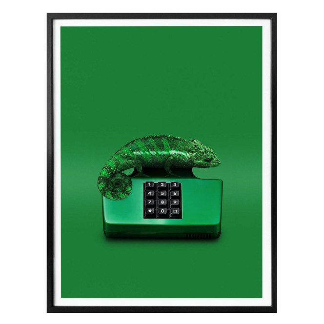 Poster Loose - Chamelephone