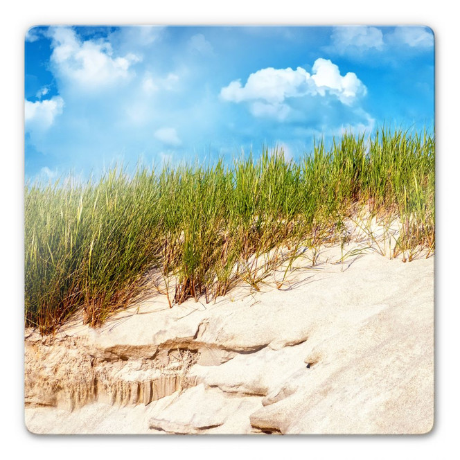 Glasbild Ostsee Dünenlandschaft