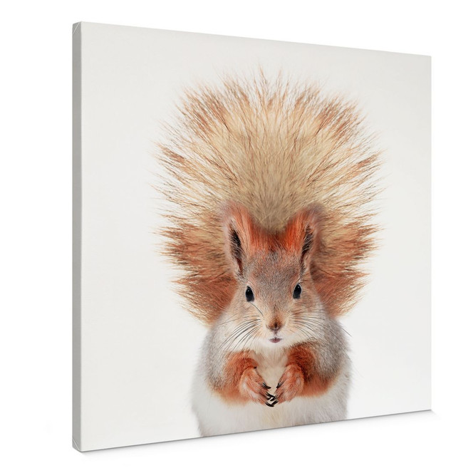 Leinwandbild Kleines Eichhörnchen - Sisi & Seb