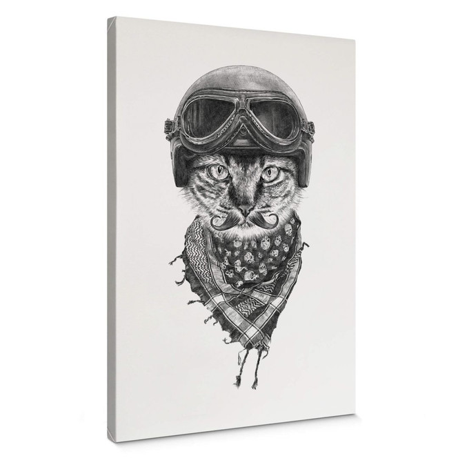 Leinwandbild Kools - Biker Cat