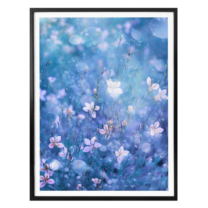 Poster Devos - Blütenzauber