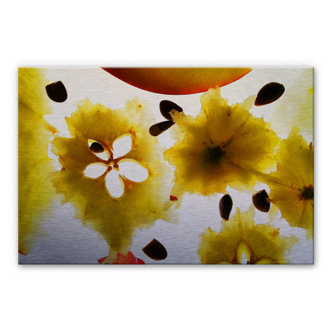 Alu-Dibond Abstract Fruit