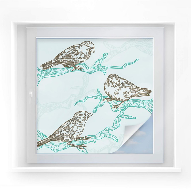 Sichtschutzfolie Spatzen Illustration - quadratisch
