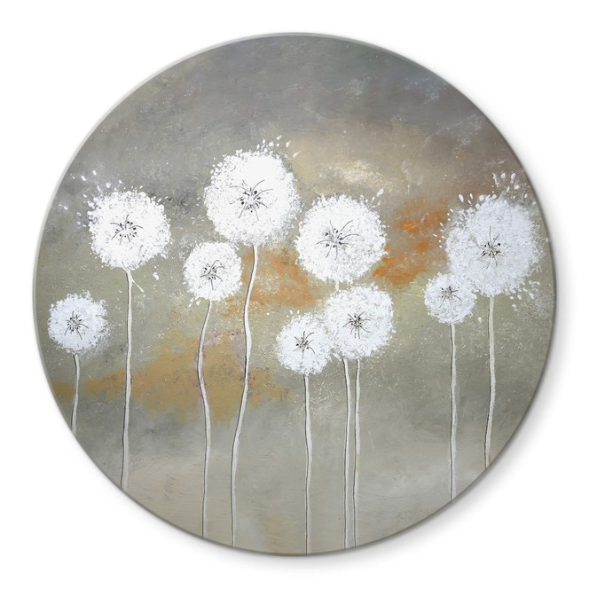 Glasbild Weisse Pusteblumen Rund - Melz