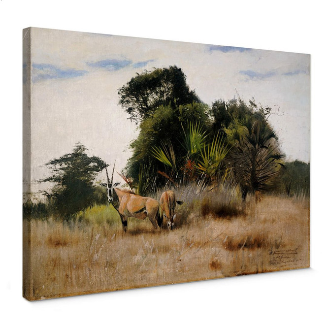 Leinwandbild Kuhnert - Antilopen