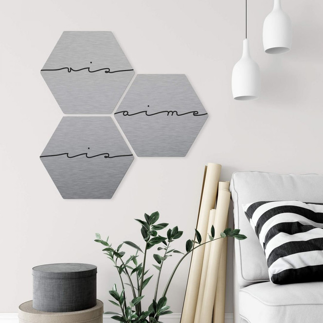 Hexagon - Alu-Dibond-Silbereffekt - Vis ris aime (3er Set)