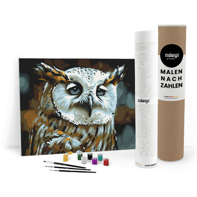 Malen nach Zahlen Leinwandbild - Eule Elena