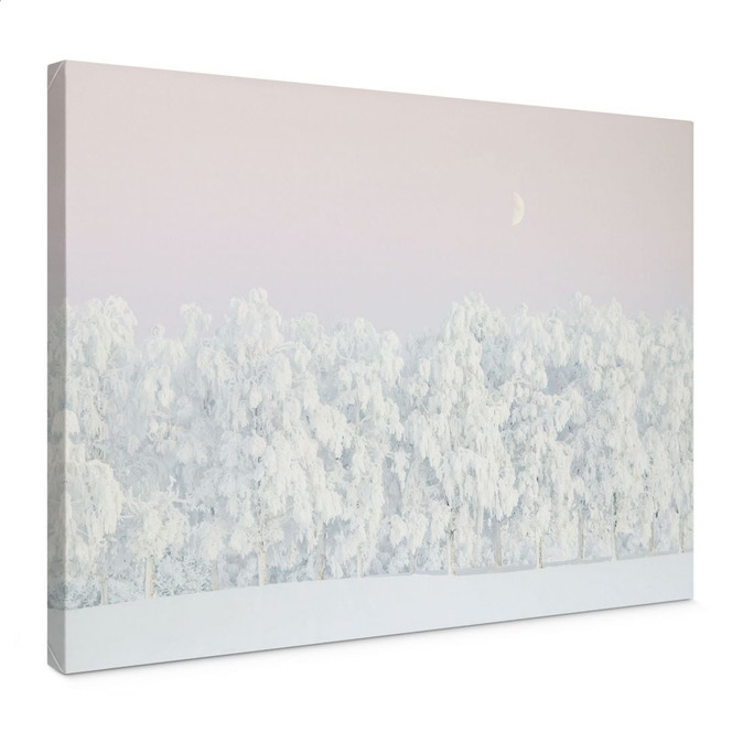 Leinwandbild Verschneiter Winterwald mit Mond - EMELIEmaria