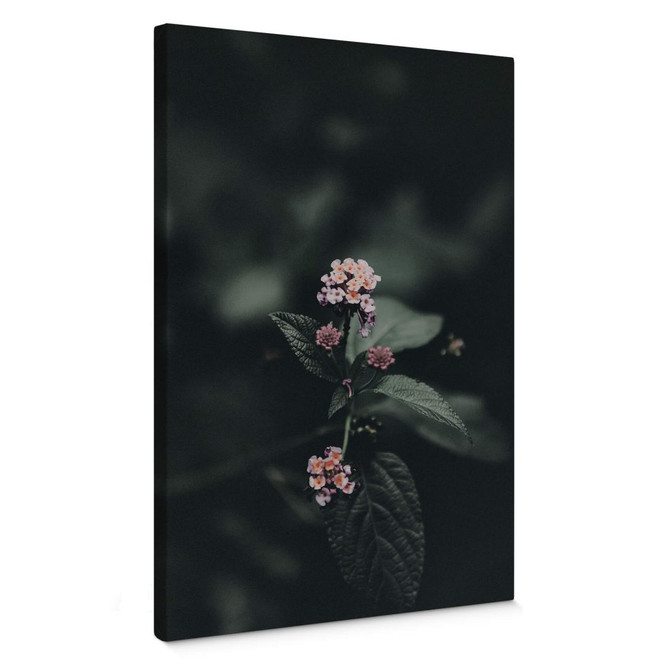 Leinwandbild Zarte rosa Blüte