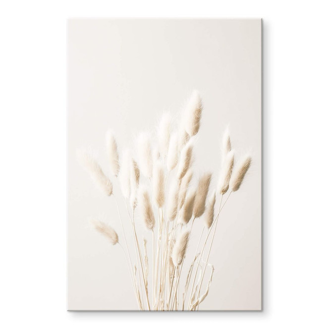 Acrylglasbild 1X Studio - Getrocknete Gräser