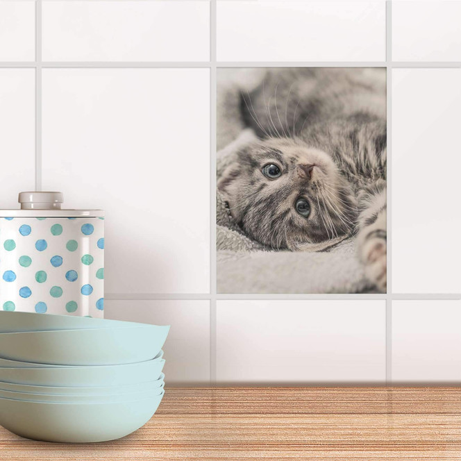 Fliesensticker - Kitty the Cat