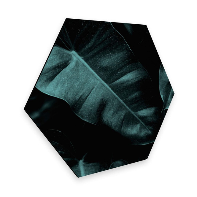Hexagon - Alu-Dibond Kubistika - Jungle