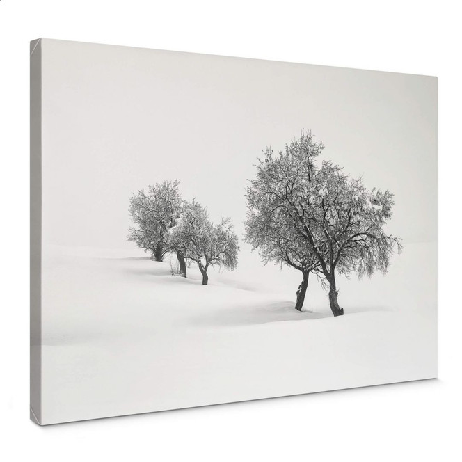 Leinwandbild Carrillo Lopez - Weisse Landschaft