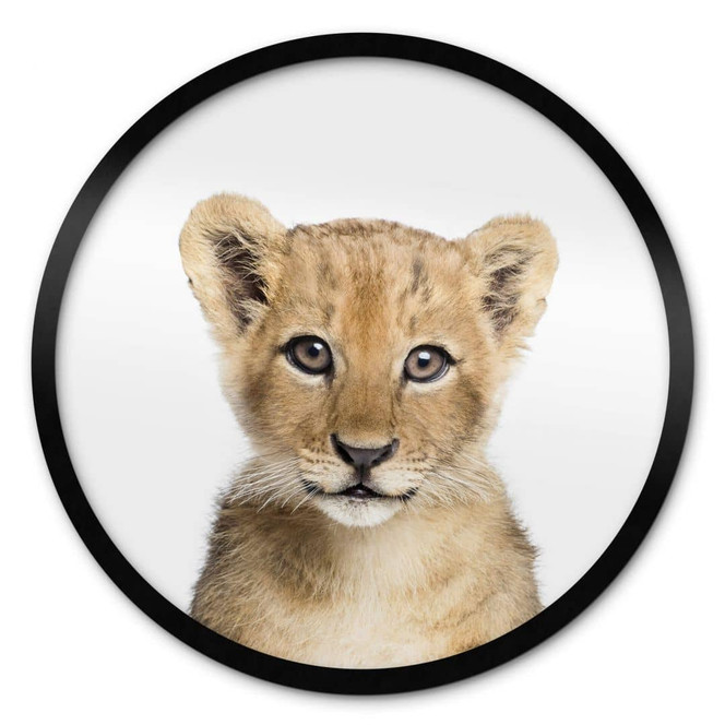 Poster Sisi & Seb - Baby Löwe - Rund