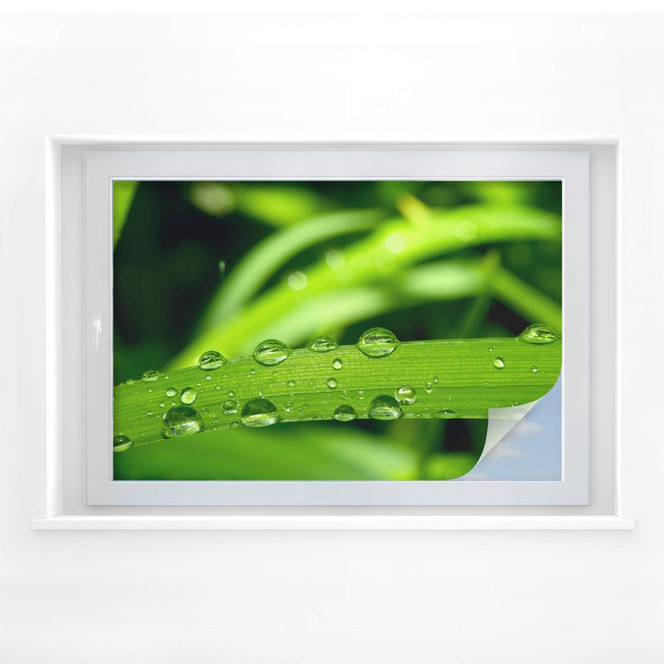 Sichtschutzfolie Natur 5