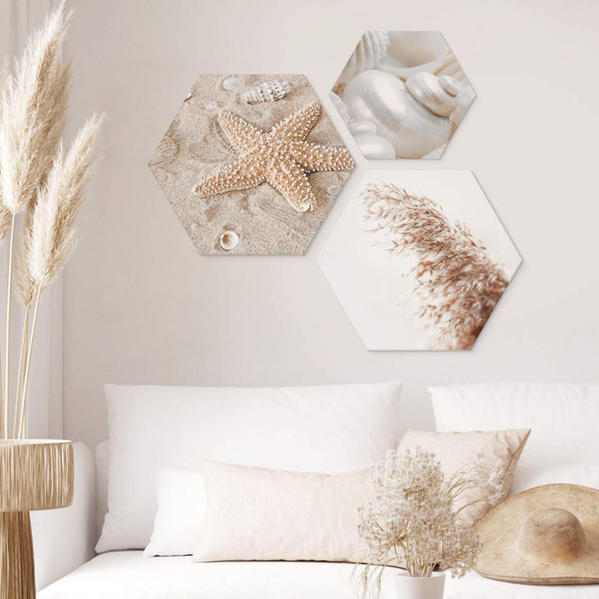 Hexagon Wandbild Muscheln und Seestern am Strand Set (3-teilig) - Alu-Dibond