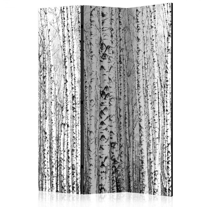 Paravent, Raumteiler freistehend, Trennwand - Birkenwald, 3-teilig - 135 x 172 cm