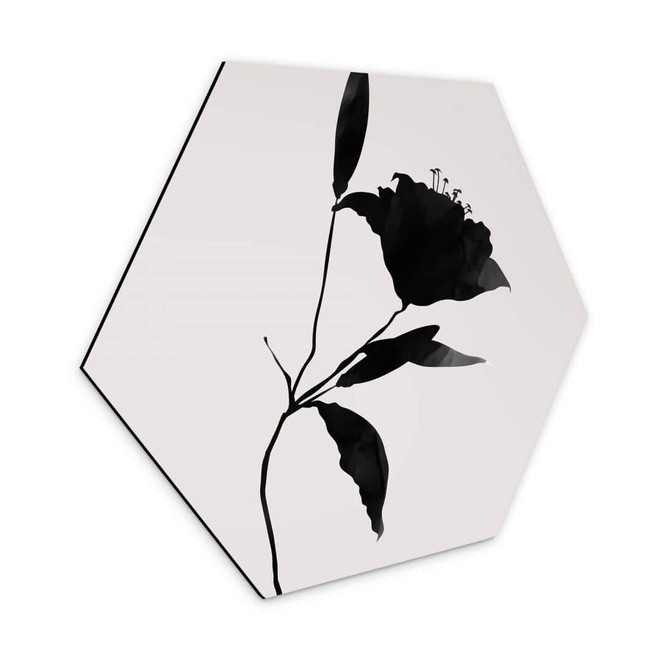 Hexagon - Alu-Dibond Kubistika - Nero