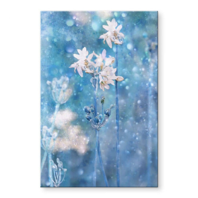 Acrylglasbild Devos - Magie der Natur