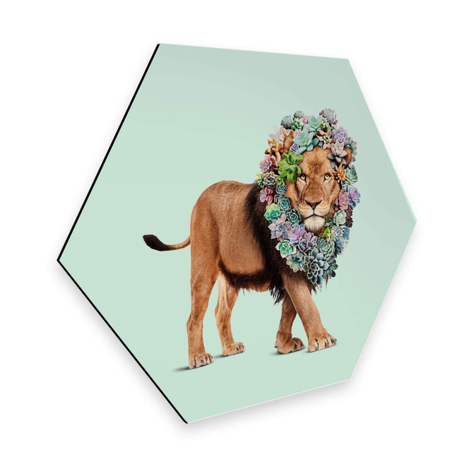 Hexagon - Alu-Dibond Loose - Succulent Lion