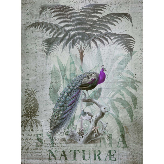 Livingwalls Fototapete ARTist Peacock Jungle mit Dschungel und Pfauen gelb, grün, violett - Bild 1