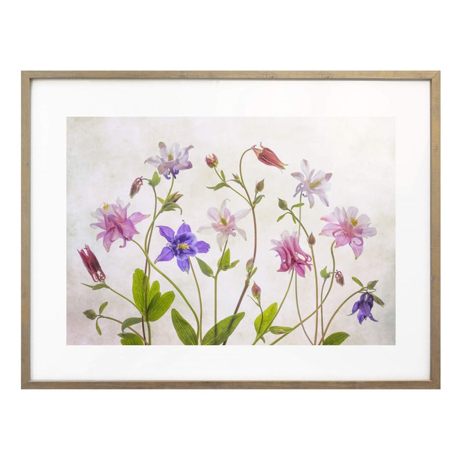 Poster Disher - Das Bouquet