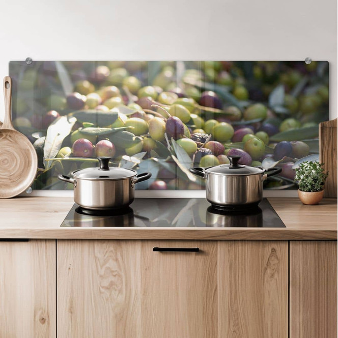 Spritzschutz Mediterrane Oliven - Panorama